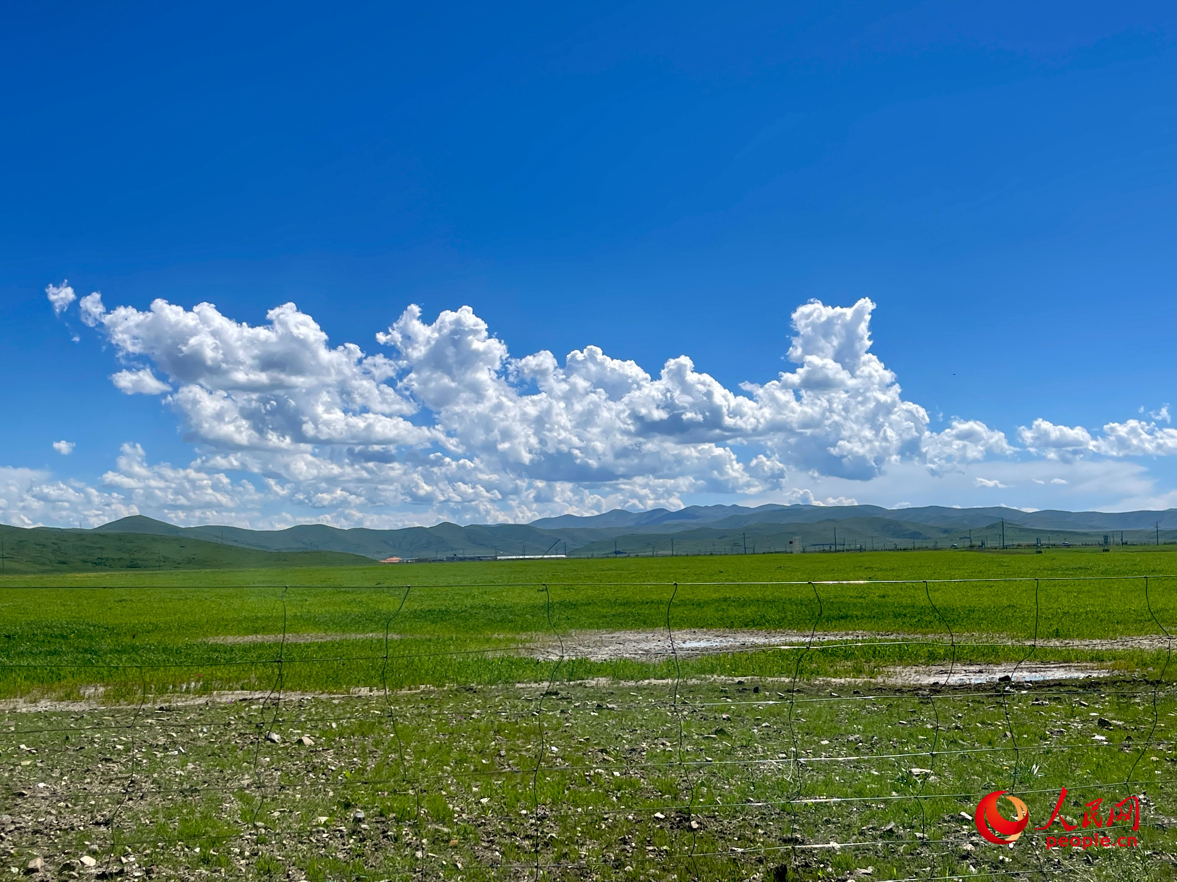 唐日合作社附近，藍(lán)天白天、綠草如茵。人民網(wǎng) 周靜圓攝
