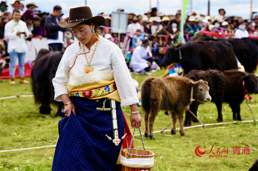 擠牦牛奶大賽。人民網(wǎng) 陳明菊攝