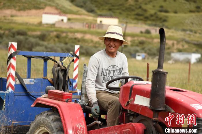 青海囊謙：喜迎秋收，又是一年“豐”景
