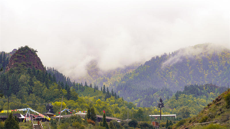 秋韻坎布拉。羊格東智攝