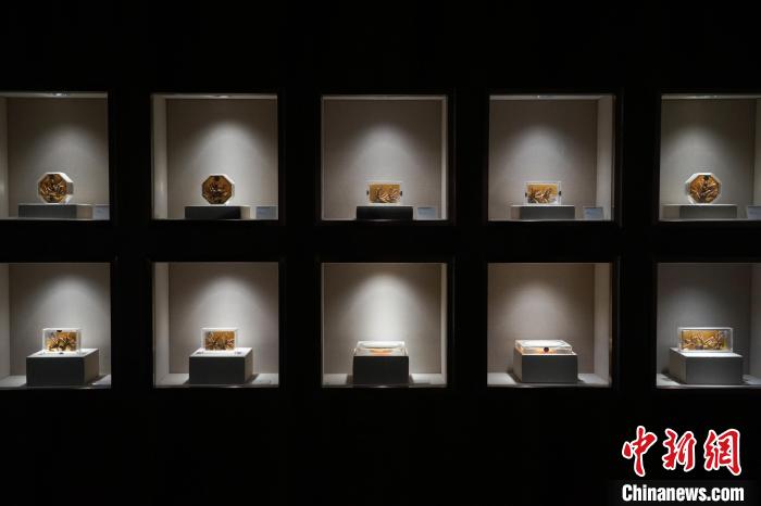 青海冬蟲夏草采挖季民眾走進(jìn)博物館了解蟲草文化