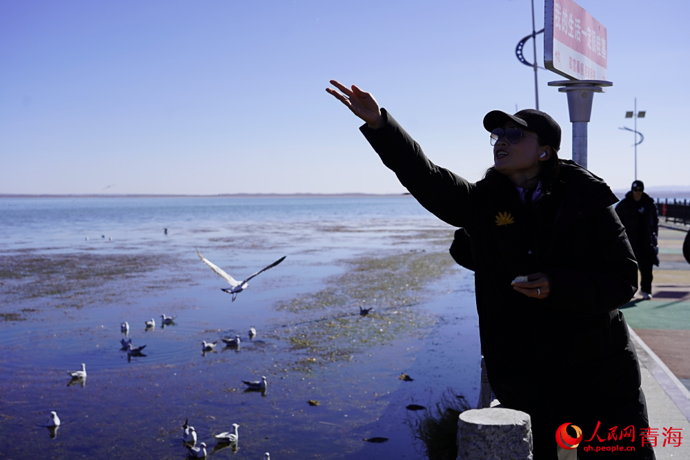 游客投喂水鳥(niǎo)。人民網(wǎng) 陳明菊攝