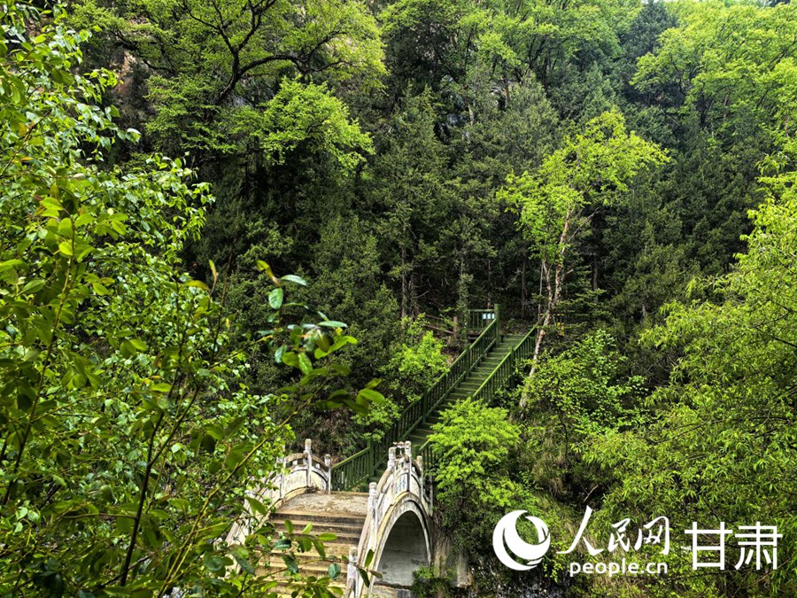 大峪溝景區(qū)內的觀景棧道。人民網記者 周婉婷攝