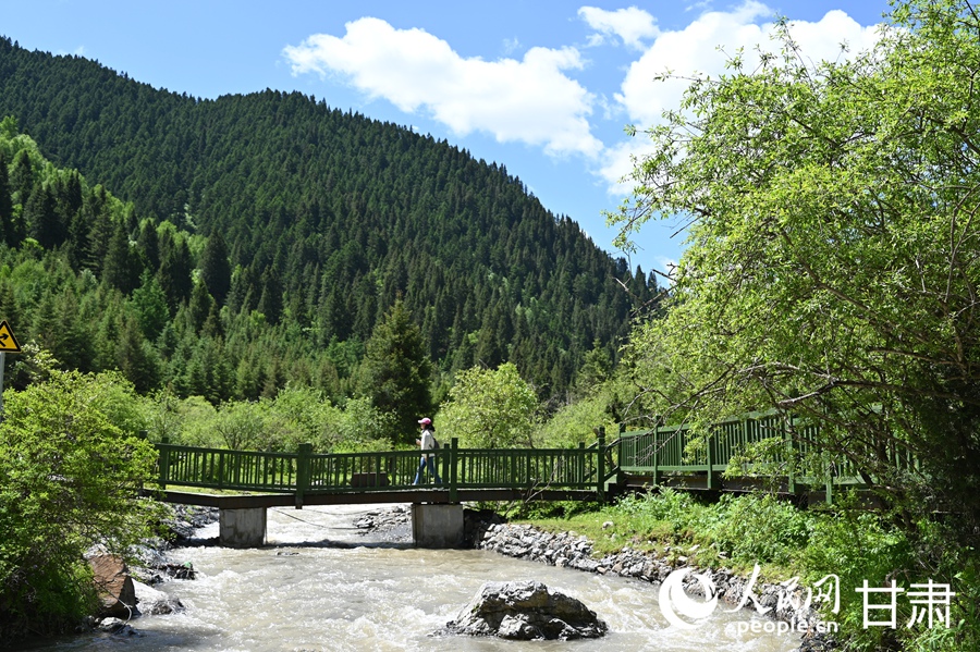 卓尼大峪溝:山雄石奇 水麗林秀【6】