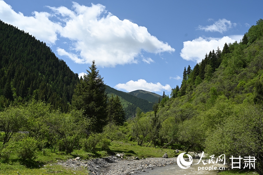 卓尼大峪溝:山雄石奇 水麗林秀【7】
