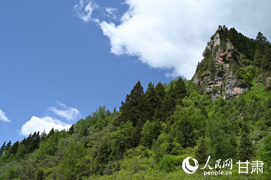 卓尼大峪溝:山雄石奇 水麗林秀【8】