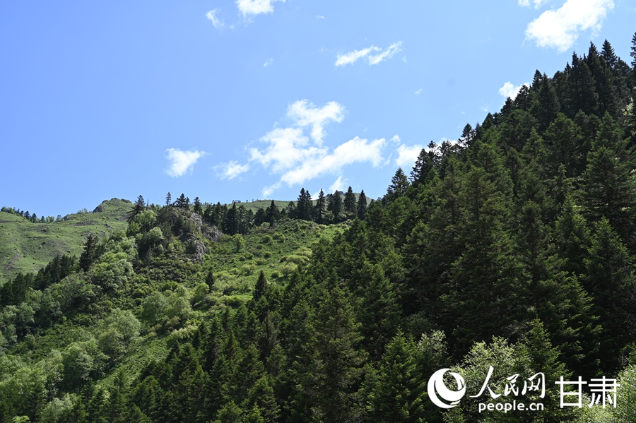 卓尼大峪溝:山雄石奇 水麗林秀【9】