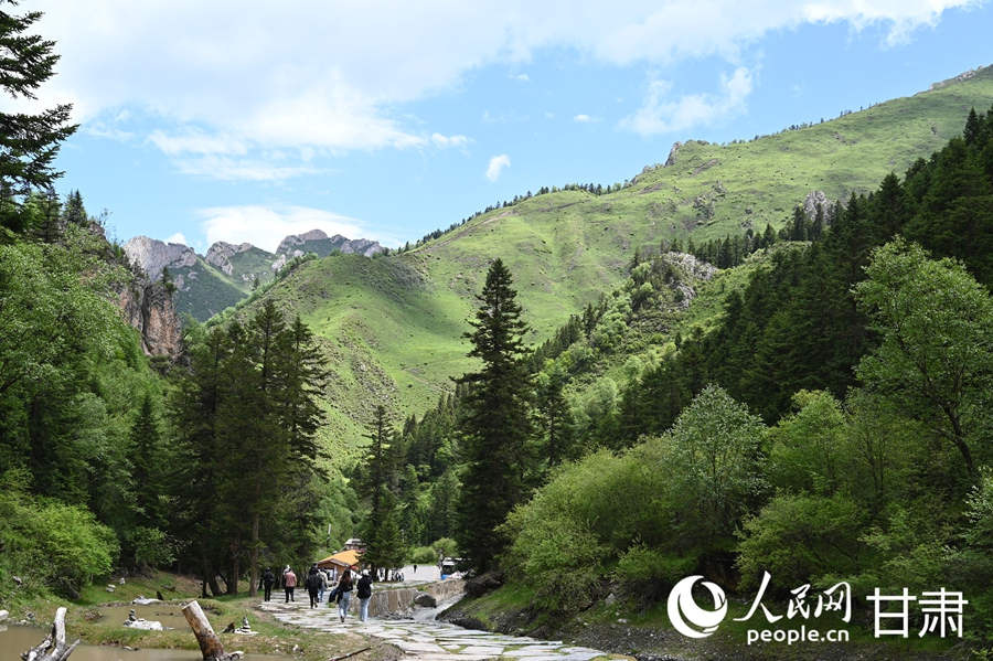 卓尼大峪溝:山雄石奇 水麗林秀【11】