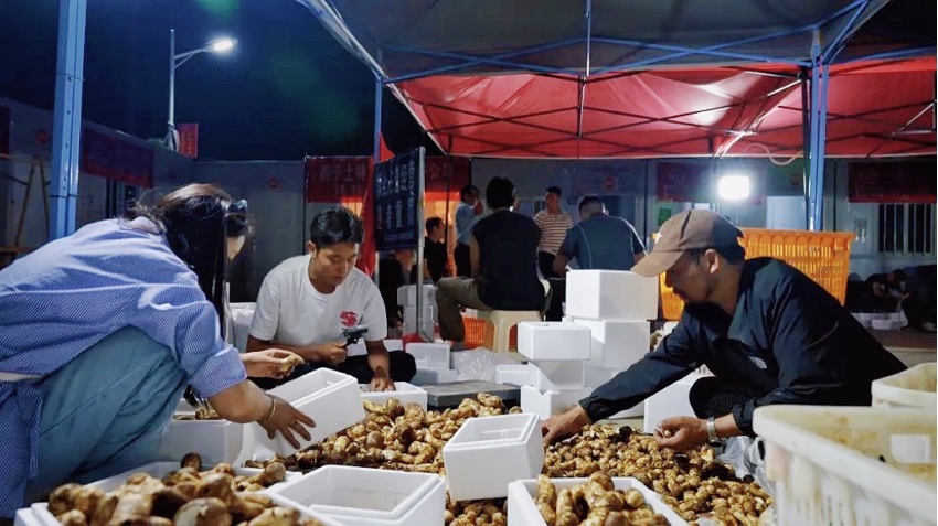 直播現(xiàn)場。雅江外宣供圖