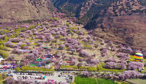 世外桃源！一組圖告訴你，西藏林芝桃花能有多美