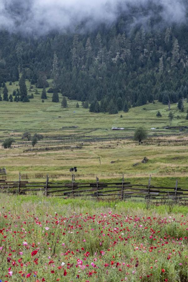 跟我，踏上最美“景觀大道”