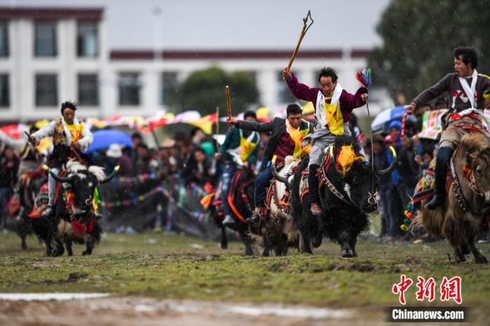 圖為拉薩郊縣的賽馬節(jié)(資料圖)。何蓬磊 攝