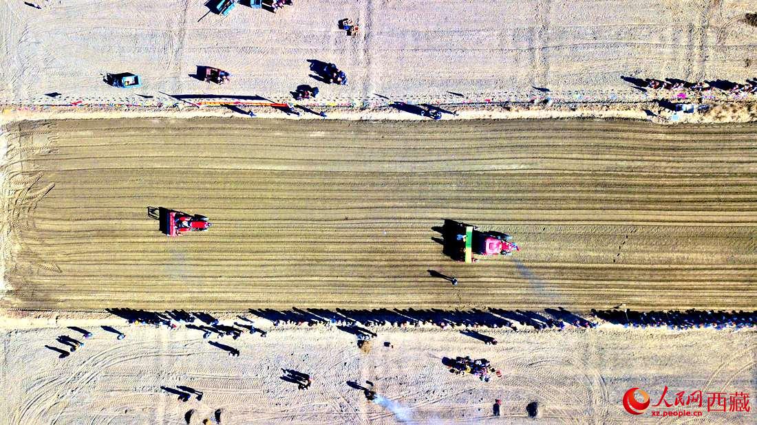 山南市扎囊縣扎其鄉(xiāng)孟卡榮村迎來春耕第一犁。人民網(wǎng) 次仁羅布攝