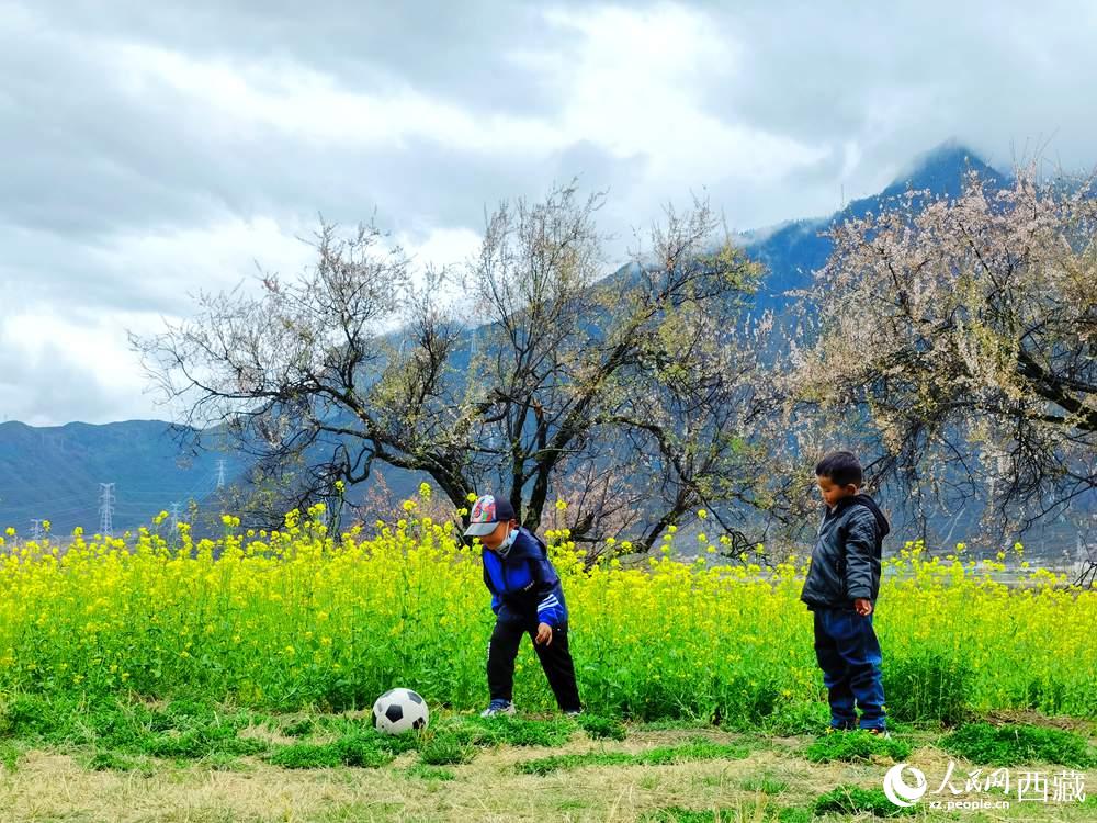 孩童在桃花下嬉戲。人民網(wǎng) 李海霞攝