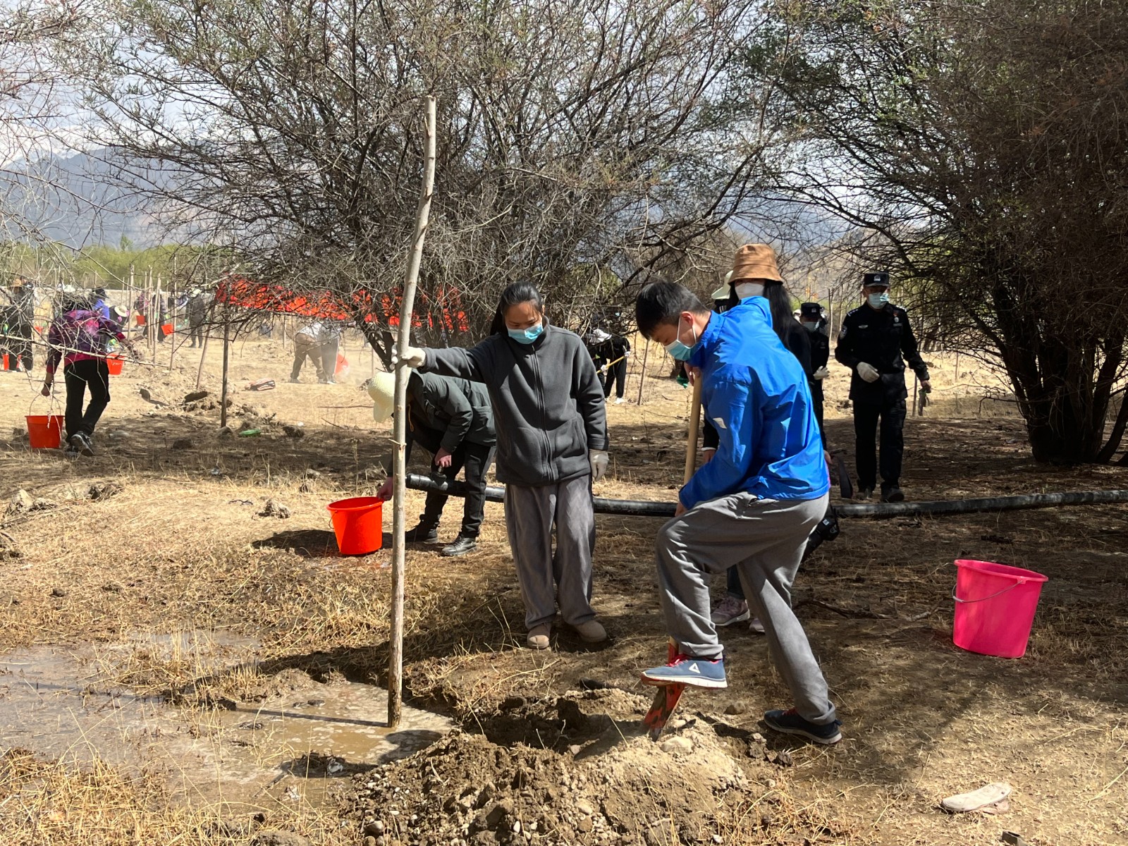 植樹現(xiàn)場，大家分工明確，配合默契(2000565)-20220420090303.jpg