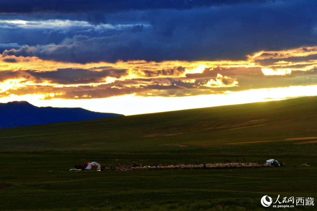 黃昏下的帳篷，牧民過著幸福生活。 人民網(wǎng) 李海霞攝