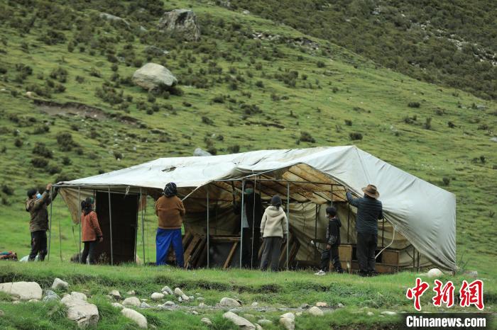 圖為牧民們?cè)谇锛灸翀龃罱◣づ瘛！÷蹇?攝