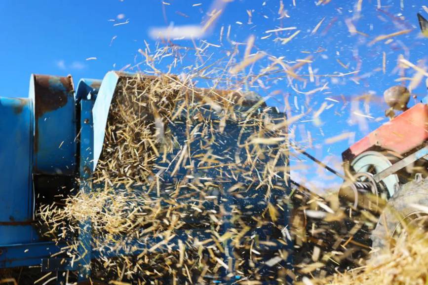 西藏吉?。簬愠两襟w驗(yàn)秋收打場(chǎng)【7】