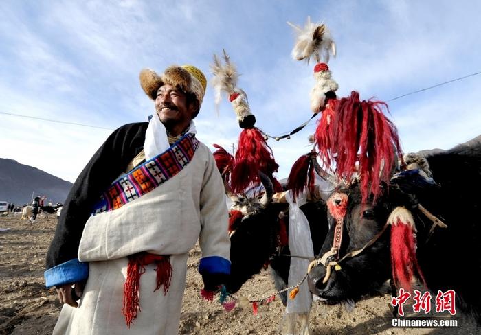資料圖為2013年3月16日，拉薩市堆龍德慶區(qū)德慶村的農(nóng)民牽著牦牛參加春耕儀式，按照傳統(tǒng)方式由牦牛開第一犁。 <a target='_blank' href='/'><p  align=