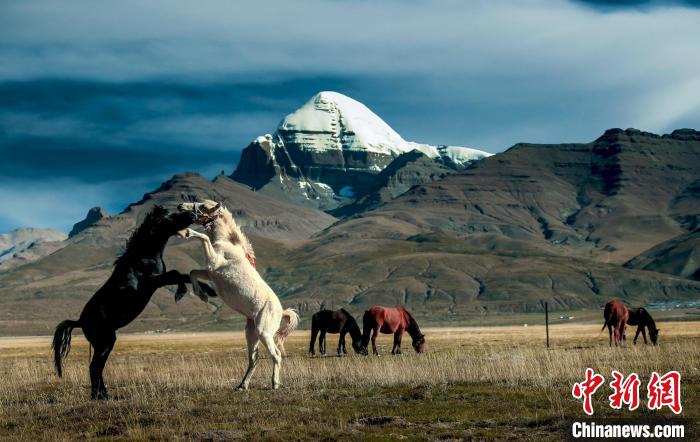 圖為參展攝影師拍攝的西藏阿里岡仁波齊?！≈鬓k方 供圖