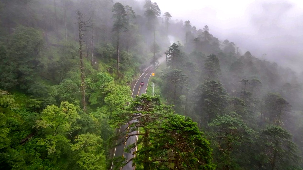 穿行于綠色間。張澤坤攝