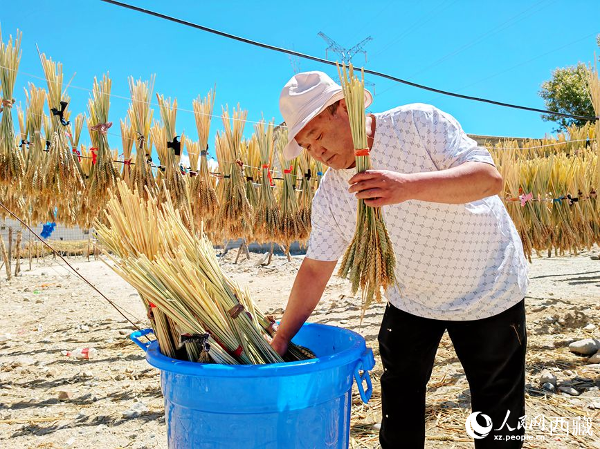 幸福生活曬出來。人民網(wǎng) 李海霞攝