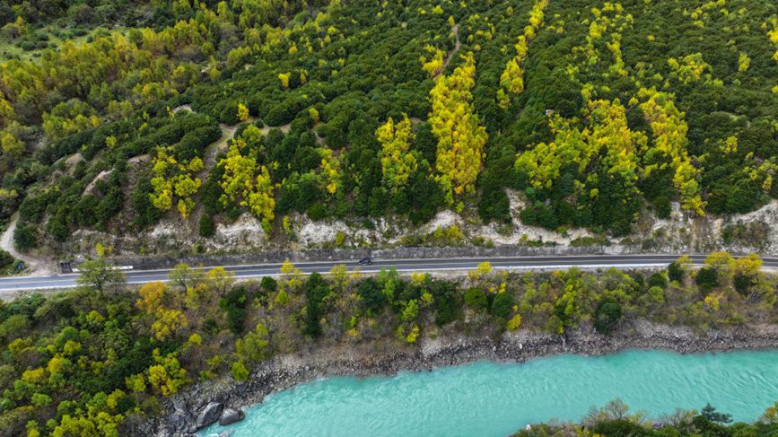 去往墨脫的路上，秋色正明。張澤坤攝