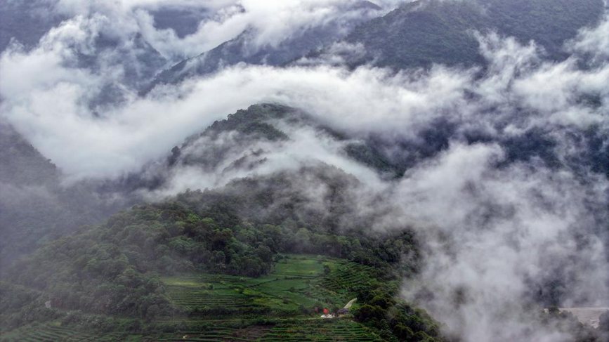 秋日里的墨脫云海。張澤坤攝