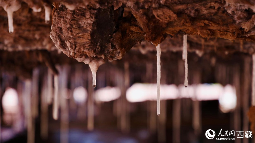 自然滲下的鹽柱結(jié)晶。人民網(wǎng)記者 次仁羅布攝