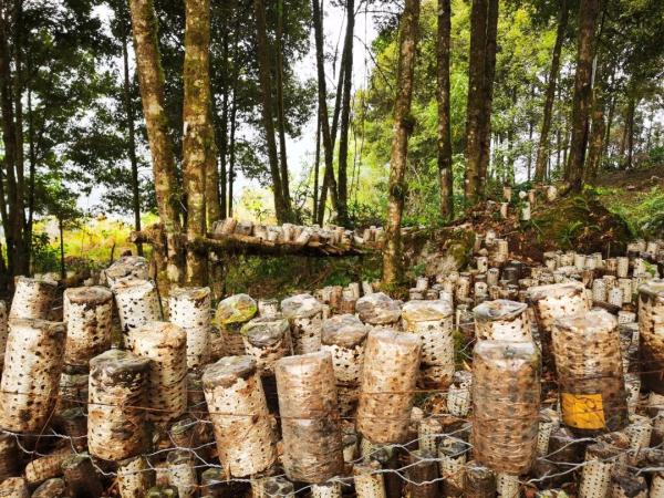 幾代建設(shè)者，歷經(jīng)半個(gè)多世紀(jì)完成！這是一條怎樣的公路？