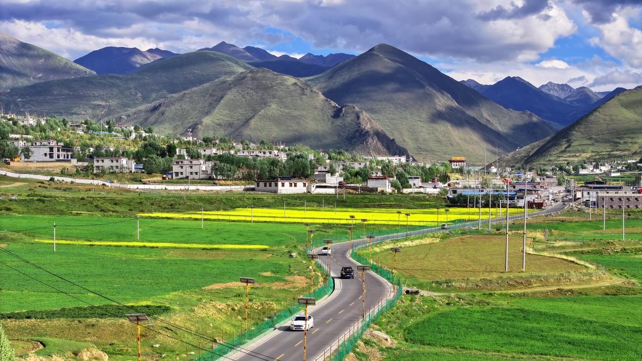 油菜花開“金”滿地。墨竹工卡縣委宣傳部 洛克攝