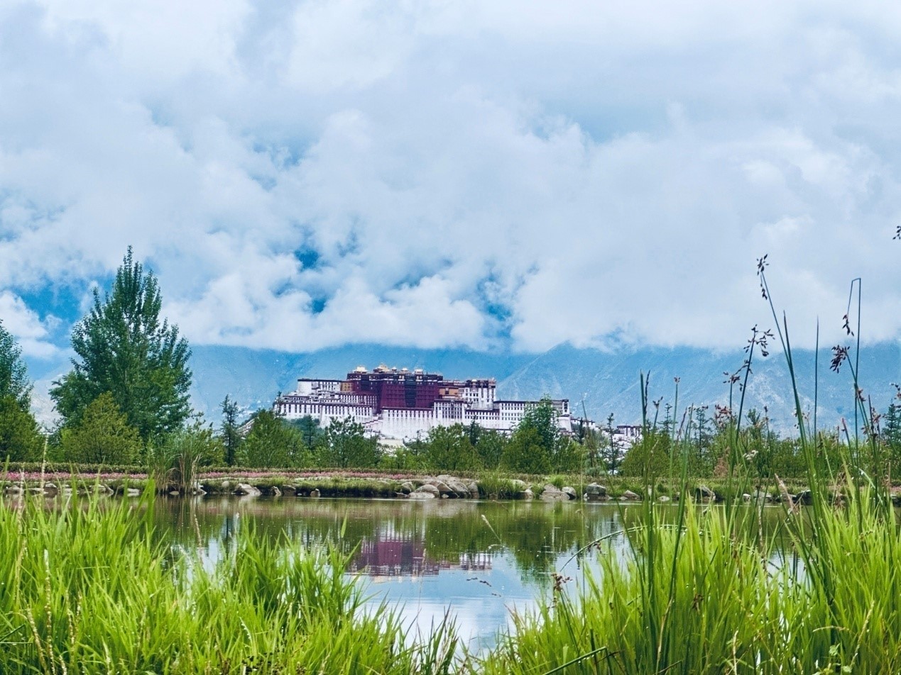 在南山公園遠(yuǎn)眺布達(dá)拉宮。人民網(wǎng)記者 益西康珠攝