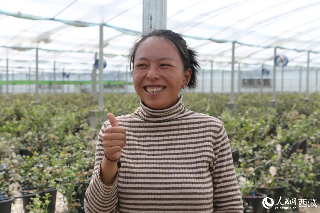 措姆品嘗自己精心照料的藍(lán)莓后，豎起了大拇指。次仁龍布攝