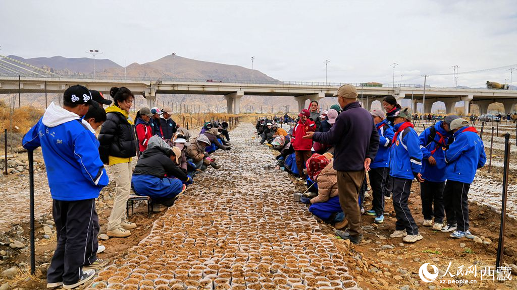 西藏定日:思政課“搬”進(jìn)育苗基地【4】