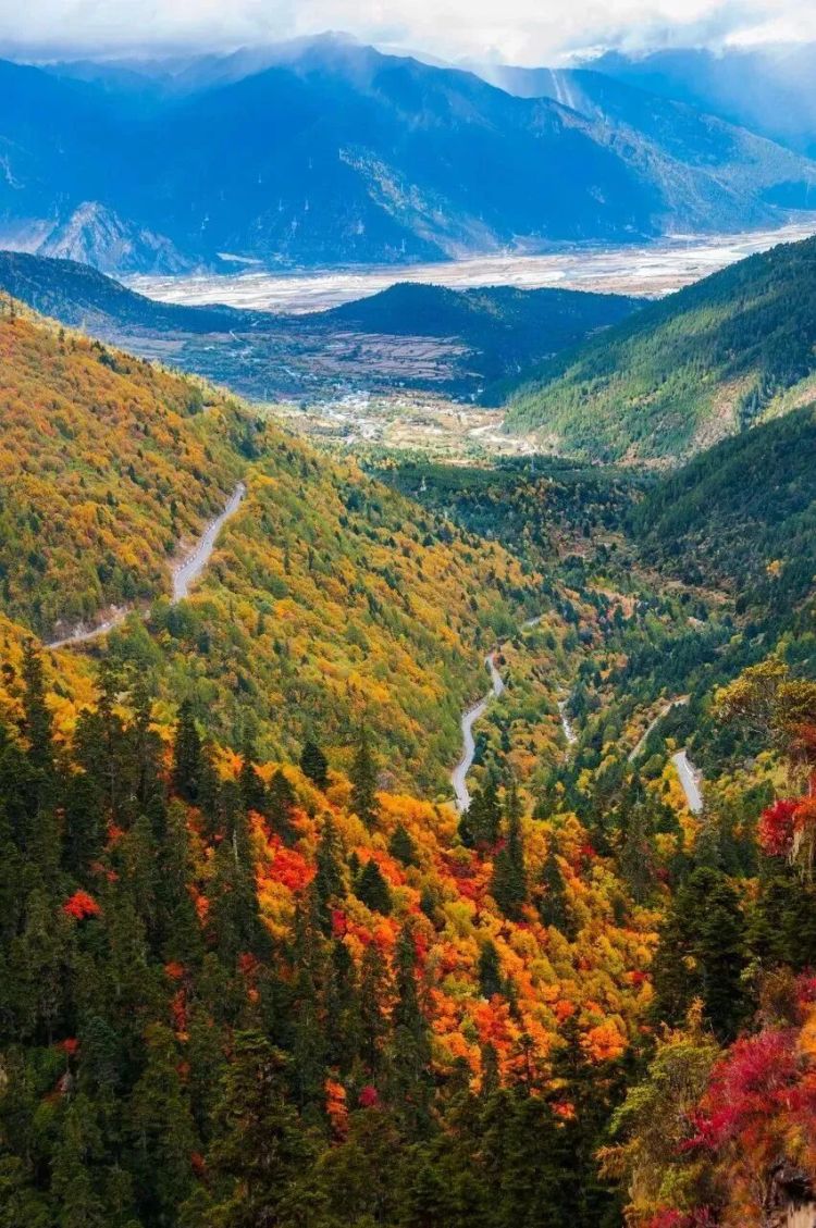 懂西藏的人，一定不會(huì)錯(cuò)過(guò)林芝的秋天