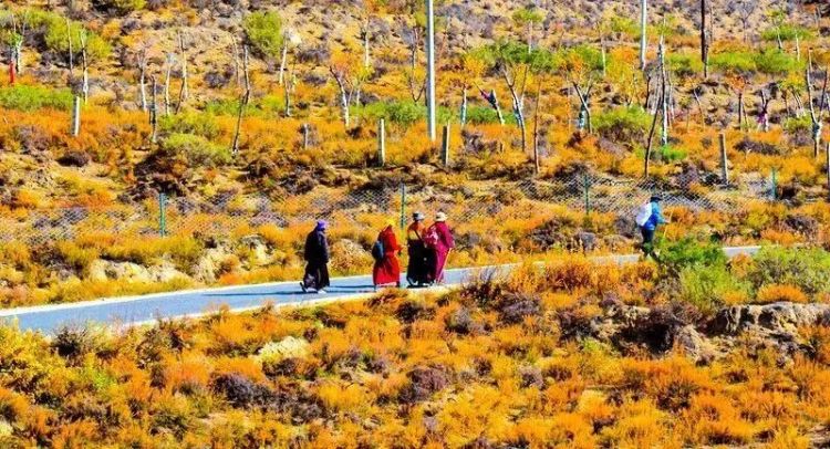 懂西藏的人，一定不會(huì)錯(cuò)過(guò)林芝的秋天
