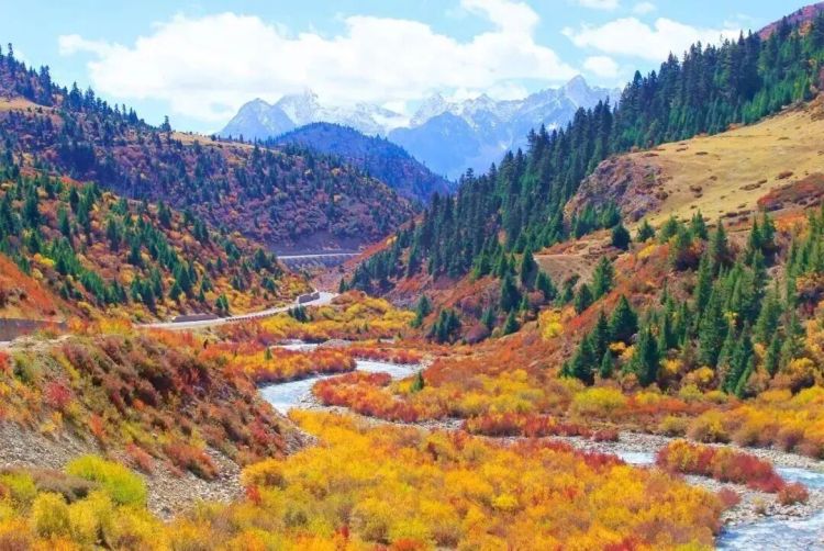 懂西藏的人，一定不會(huì)錯(cuò)過(guò)林芝的秋天