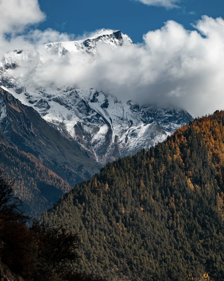 懂西藏的人，一定不會(huì)錯(cuò)過(guò)林芝的秋天