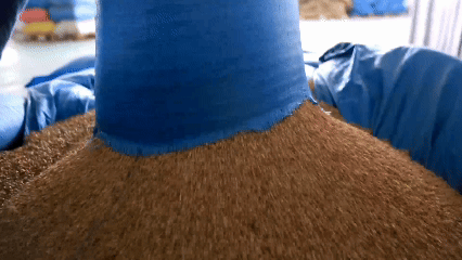 青稞“蛻變”，牦?！俺鋈Α?！看西藏農(nóng)牧民的“十四五”豐收答卷