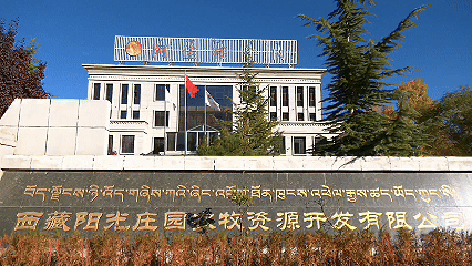 青稞“蛻變”，牦?！俺鋈Α保】次鞑剞r(nóng)牧民的“十四五”豐收答卷