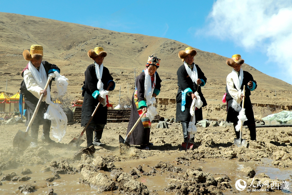身著傳統(tǒng)服飾的拉東村村民手持鐵鍬疏通水道、引水灌溉，渠水奔涌入田，開啟春耕生產(chǎn)。人民網(wǎng)記者 吳雨仁攝