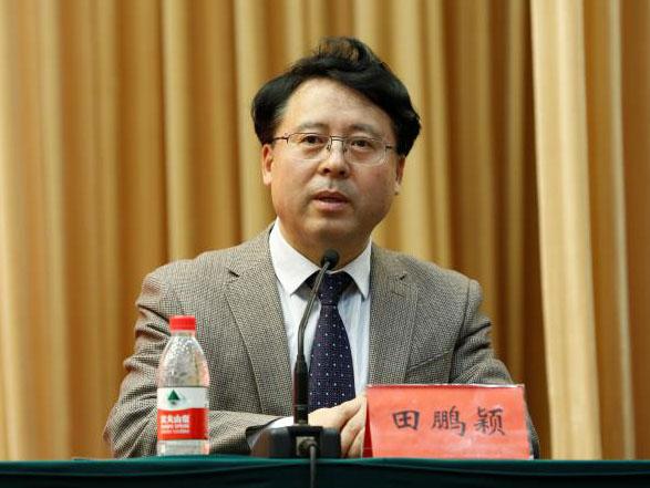 田鵬穎：投入其中、樂(lè)在其中、安身其中