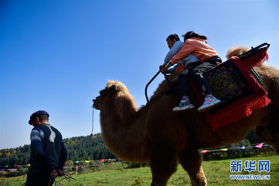 （全面建成小康社會“百城千縣萬村調研行”·圖文互動）（7）青?？柎澹骸肮夤鞔濉钡娜A麗轉身