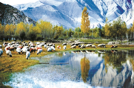 曲水縣郊外的怡人風景。 拉薩日報 平措旺堆攝.jpg