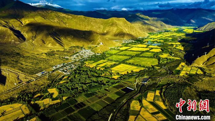 圖為山南雍布拉康附近農(nóng)田?！埼?攝