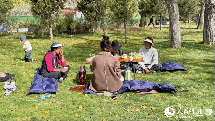 圖為市民在公園內(nèi)聚會。人民網(wǎng)記者 次仁羅布攝