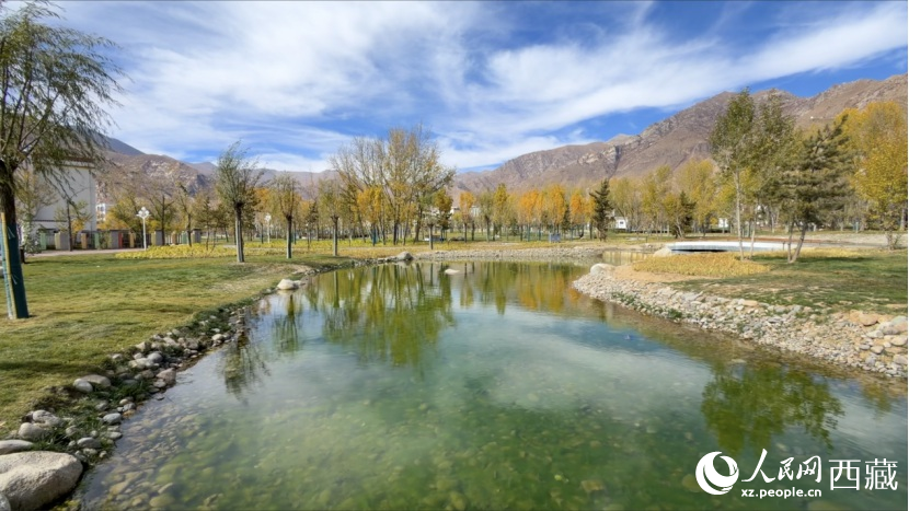 圖為青年林卡公園。人民網(wǎng)記者 次仁羅布攝