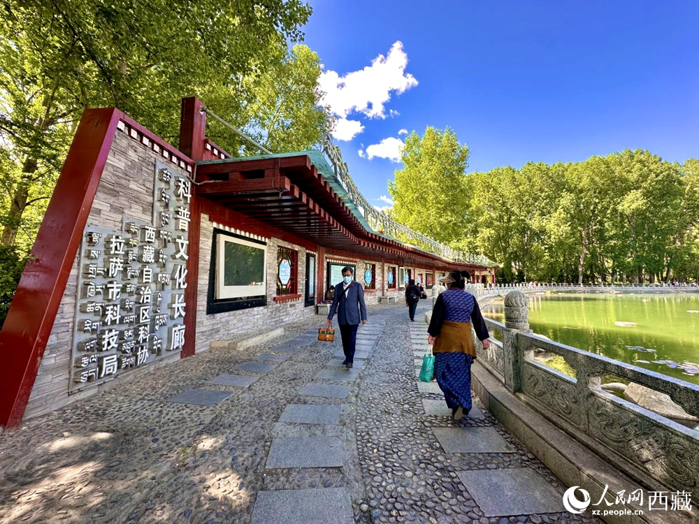 公園內(nèi)的科普文化長(zhǎng)廊。