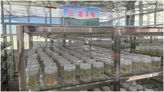 “莊浪模式”與“三變”改革：黃土地上走出的莊浪路子