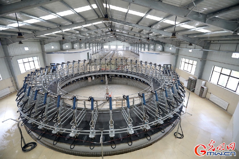 【幸?；ㄩ_新邊疆】大力發(fā)展西藏隆子縣特色產(chǎn)業(yè) 堅(jiān)決打贏脫貧攻堅(jiān)戰(zhàn)